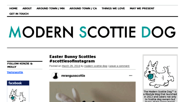 modernscottiedog.com