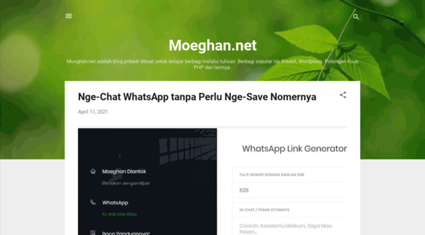 moeghan.net