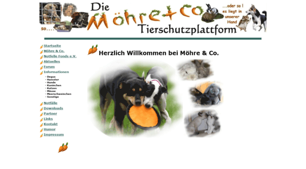 moehre-und-co.de