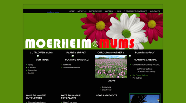 moerheimmums.com