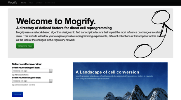 mogrify.net