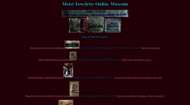 moisttowelettemuseum.com