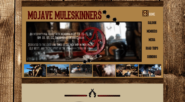 mojavemuleskinners.com