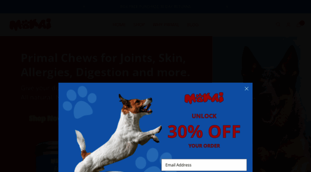 mokaipaws.com