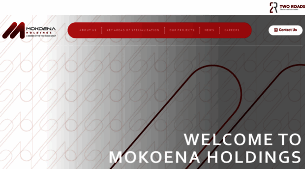 mokoenaholdings.co.za