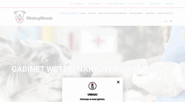 mokrynosek.com