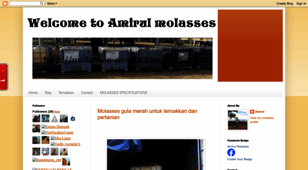 molasses-amirul.blogspot.com