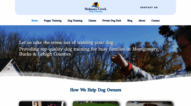 molassescreekdogtraining.com