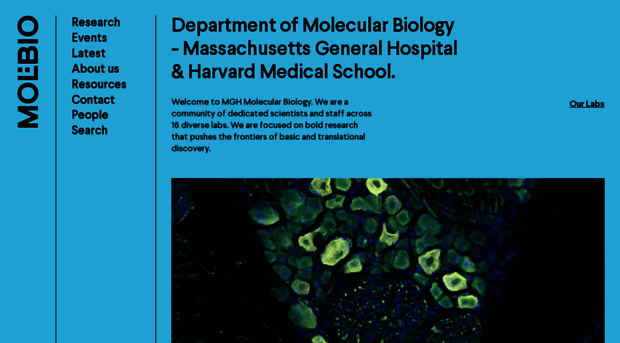 molbio.mgh.harvard.edu