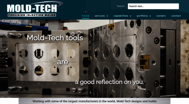 mold-techinc.com