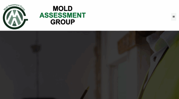 moldassessmentgroup.com