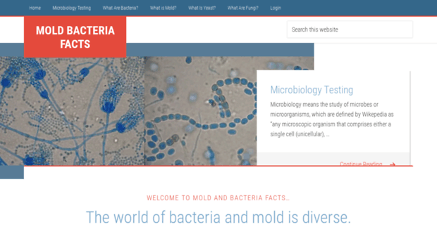 moldbacteriafacts.com