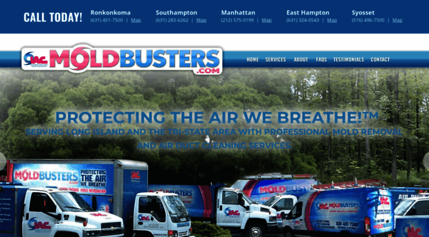 moldbusters.com