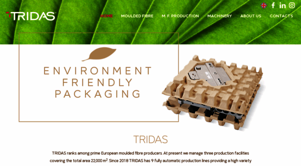 molded-pulp-fiber.com