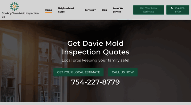 moldinspectdavie.com