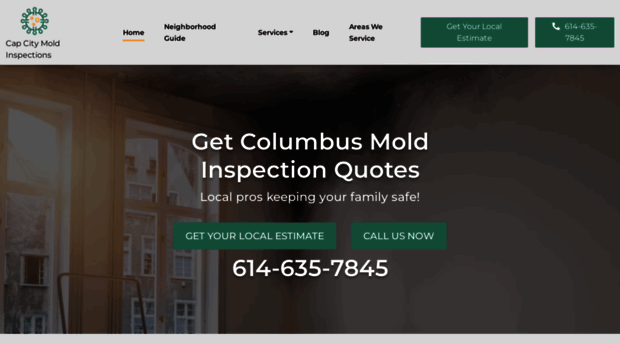 moldinspection-columbus.com