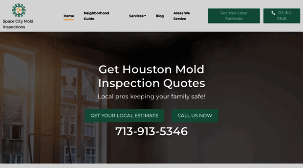 moldinspection-houston.com