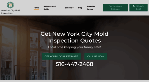 moldinspection-nyc.com