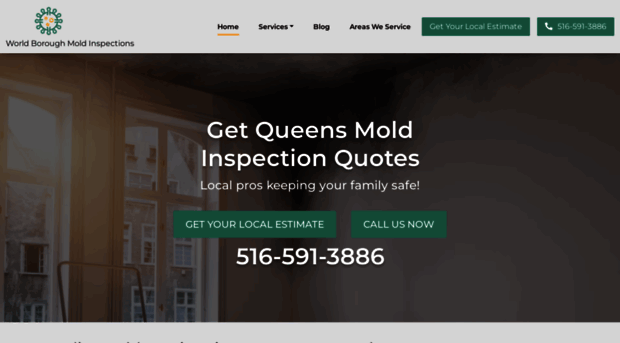 moldinspection-queens.com