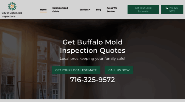 moldinspectionbuffalony.com