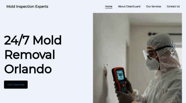 moldinspectionexperts.site