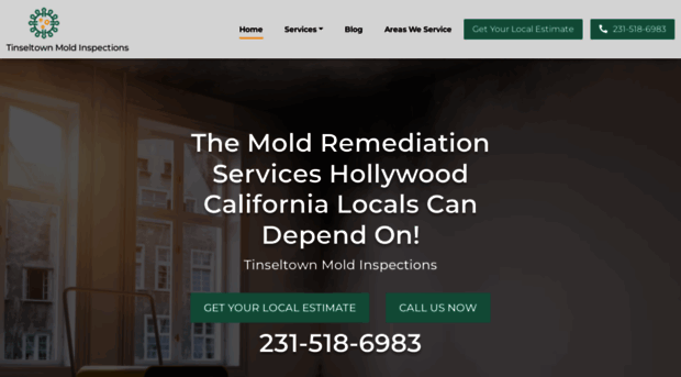 moldinspectionhollywoodca.com