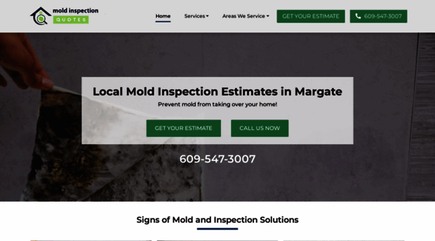 moldinspectionmargatenj.com