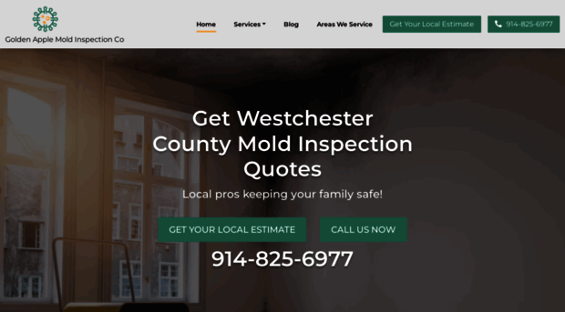 moldinspectwestchester.com