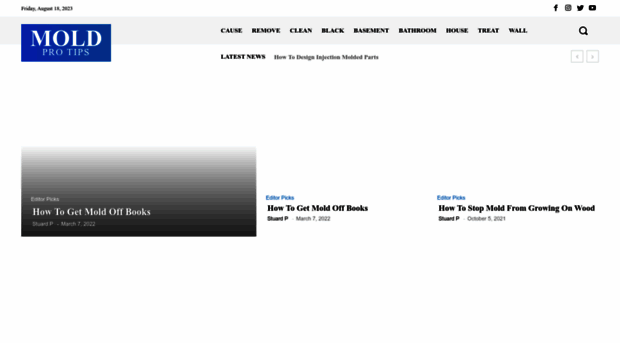 moldprotips.com