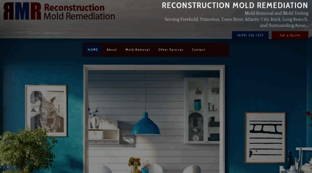 moldreconstruction.com