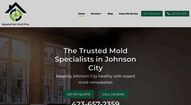 moldremediation-johnsoncity.com
