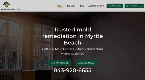 moldremediation-myrtlebeach.com