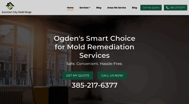 moldremediation-ogden.com