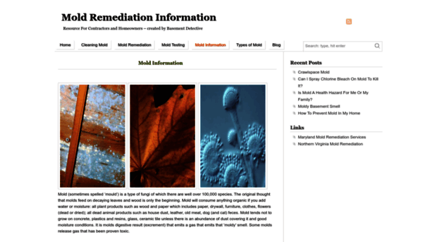 moldremediation101.com