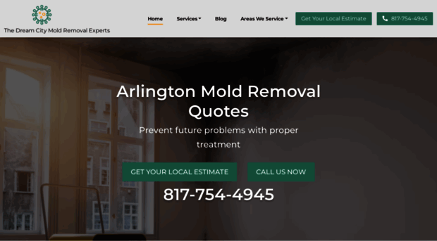 moldremoval-arlingtontx.com