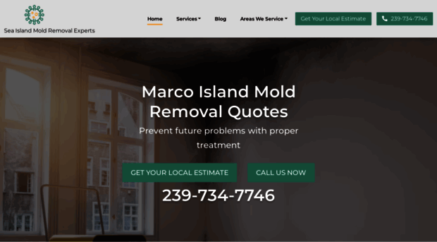 moldremoval-marcoisland.com