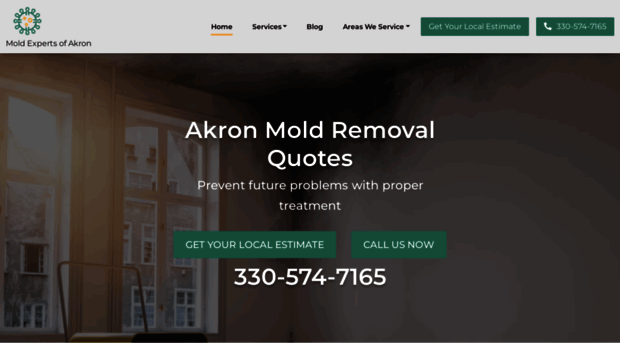 moldremovalakron.com