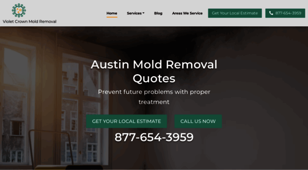 moldremovalaustin.co