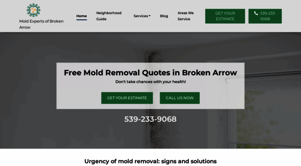 moldremovalbrokenarrow.com