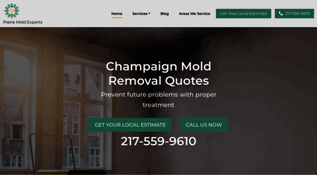 moldremovalchampaign.com