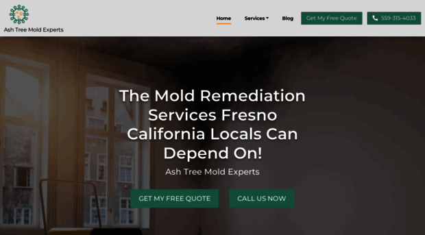 moldremovalfresno.com