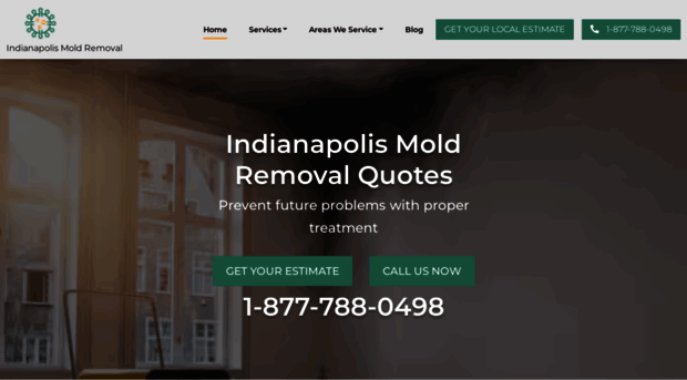 moldremovalindianapolis.co
