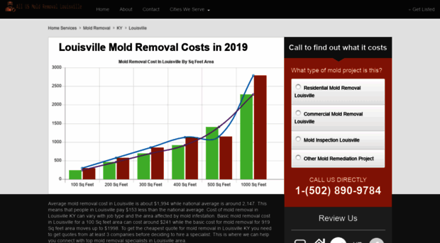 moldremovallouisville.info