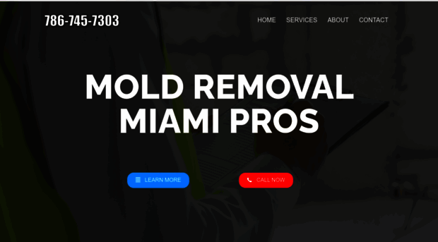 moldremovalmiami.org