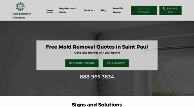 moldremovalminnesota.com