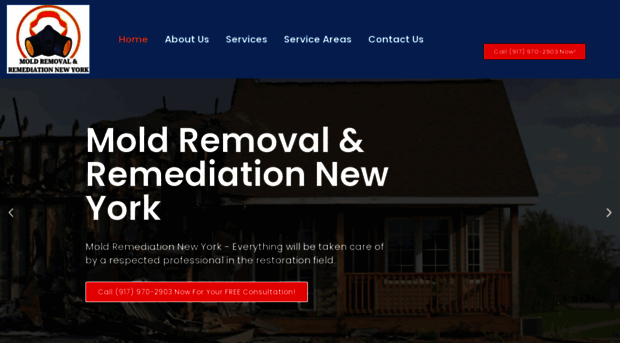 moldremovalremediationnewyork.com