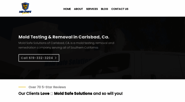 moldsafesolutions.com