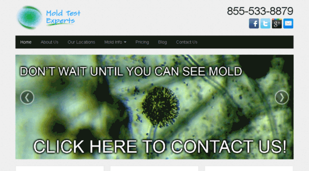 moldtestexperts.com