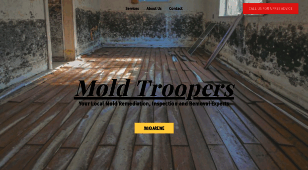 moldtroopers.com