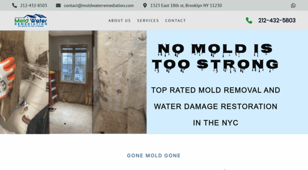 moldwaterremediation.com